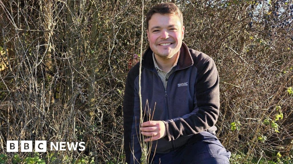 BBC Sounds expands access for UK listeners, highlights woodland conservation