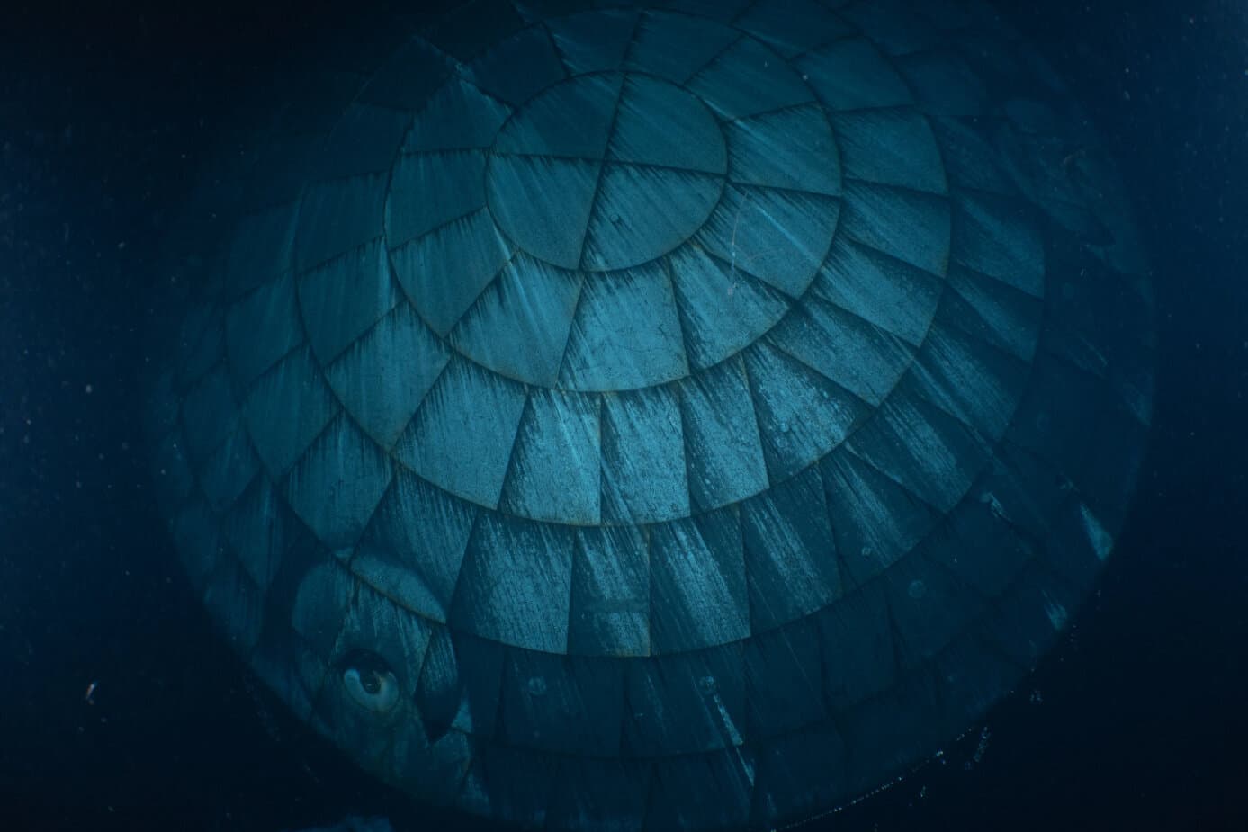 Le vaisseau lunaire des astronautes de retour sur Terre après un voyage historique