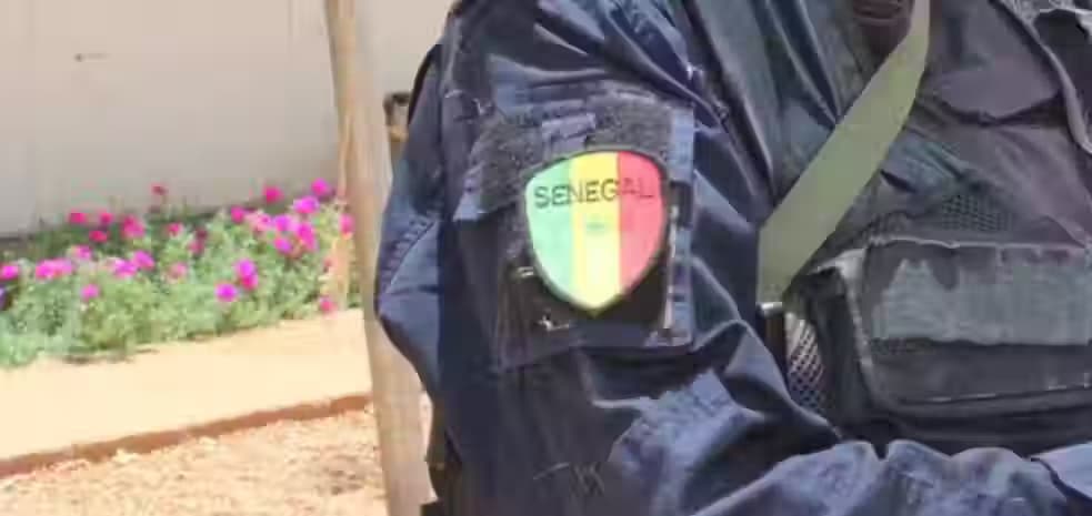 Démantèlement d'un Réseau de Trafic de Drogues à Dakar